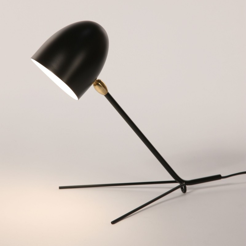 http://www.dezignlover.com/fr/lampe-de-table-design/1351-lampe-de-table-design-cocotte.html